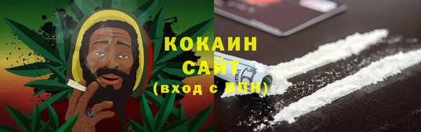 прущие грибы Алексин