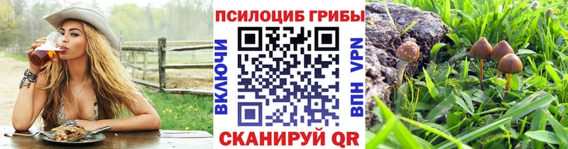 Галлюциногенные грибы мицелий Сосновка